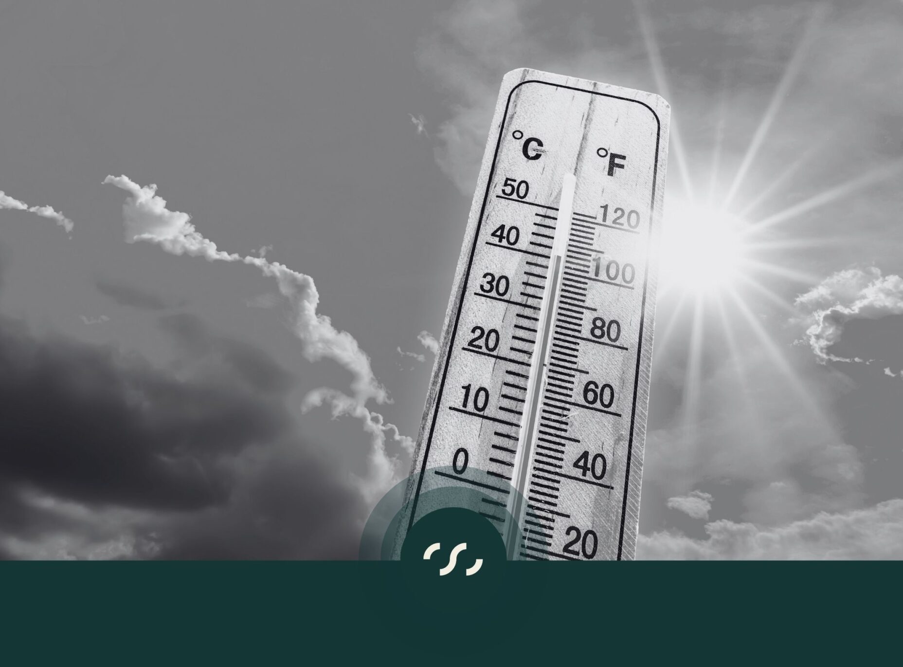 Photo-blog-canicule-et-hydratation-aspect-ratio-1856-1370